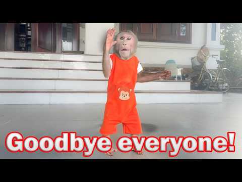 Bibi says goodbye to everyone and see you soon!