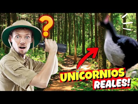 3 UNICORNIOS DEL MUNDO REAL ¡Que Te Sorprenderan!!
