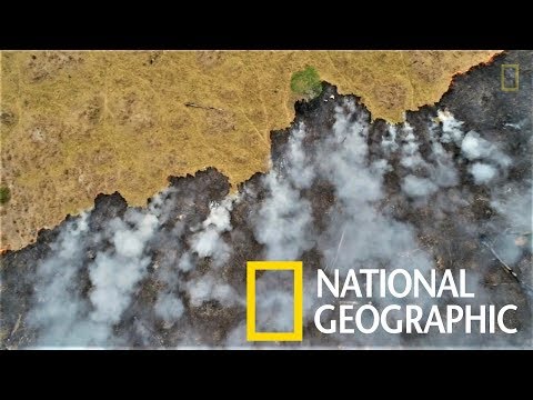 亞馬遜雨林正以前所未見的規模猛烈燃燒《國家地理》雜誌 - YouTube(1分54秒)