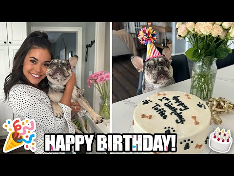 Dog Birthday Party: DIY Appetizers & Party Setup Ideas! 🎉🐶🥳