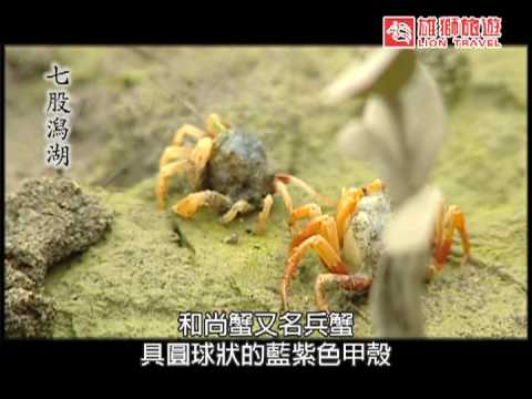 台灣最大且最完整的濕地～台南「七股潟湖」 - YouTube