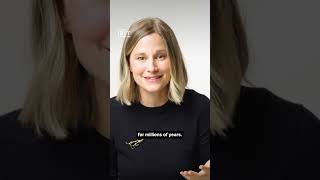 The richest thing you will ever own | Giulia Enders