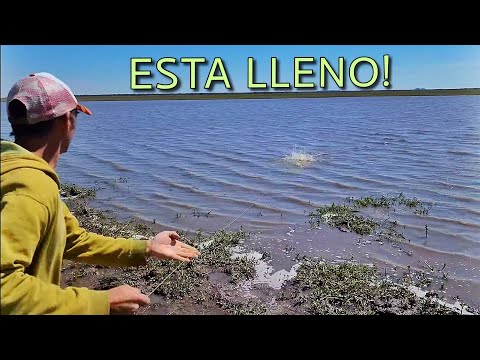 PESCA CON LÍNEA DE MANO, TREMENDA PESCA!!