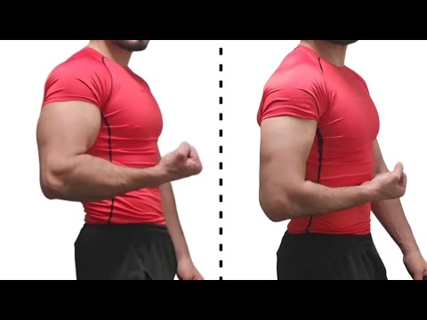 Top 3 Biceps Exercises at Home