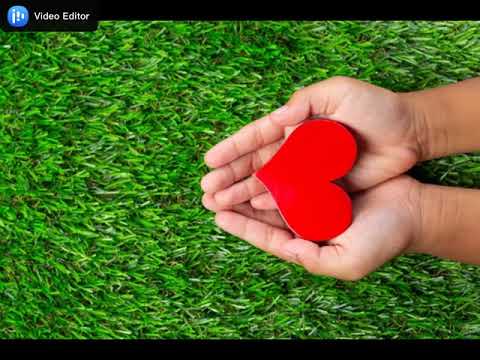 Mauro Bertoli - scrittore