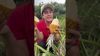 Quem gosta de abacaxi aí?? Lá vai uma dica pra sua mesa de natal