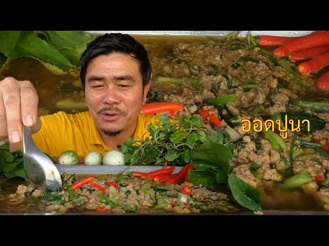 1170.ออดปูนาใส่ผักชีลาวแบบบ้านๆแซ่บกว่าสุเทื่อ บ่าวเพ็ชร คอสะพาน 1170.ออดปูนาใส่ผักชีลาวแบบบ้านๆแซ่บกว่าสุเทื่อ