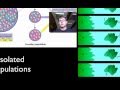 Exploring Genetic Drift and Its Effects