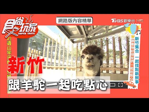 【新竹】跟動物朋友們一起吃點心 鹹食、甜食都有【食尚玩家】20200811 (1/4)