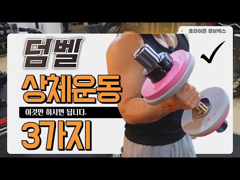 덤벨을 이용한 상체 근력 운동 3가지(어깨, 팔)