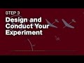 Scientific Experiment Design and Variables