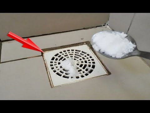 Coloque SAL NOS RALOS DA CASA por 7 dias e o que acontecerá é INACREDITÁVEL!