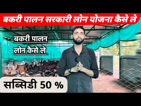 बकरी पालन लोन कैसे ले 10 लाख से लेकर 50 लाख तक सब्सिडी | goat farm business loan