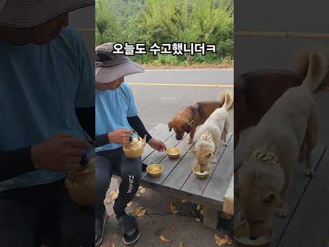 오늘도 수고했담ㅋㅋ #까페랑쪼꼬 #해인들농장  #우유한잔씩 #낼도화이팅!  #귀농5년차 #청년이장