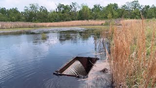 Wetlands Part 3 - Managing Moist Soil Impoundments