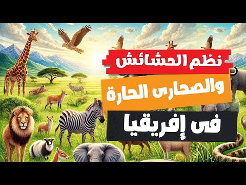 نظم الحشائش فى إفريقيا | أولى اعدادى | الترم الأول