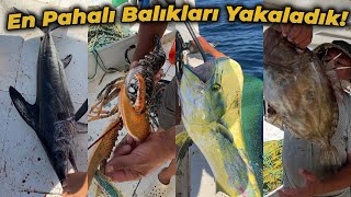 DENİZLERİN EN PAHALI BALIKLARINI YAKALADIK! | HEM KILIÇ BALIĞI PARAGATI HEM DE AĞ ÇEKTİK!