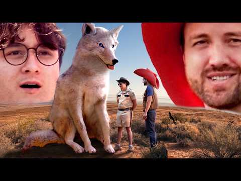 we made a show - SCARE THE COYOTE - Ep 1