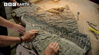 Sir David Attenborough Investigates A Jurassic Murder Mystery | BBC Earth