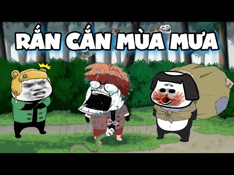 GẤU HÀI HƯỚC - Phần 132: Rắn Cắn Mùa Mưa | Phim hoạt hình gấu trúc meme mặt bựa siêu buồn cười