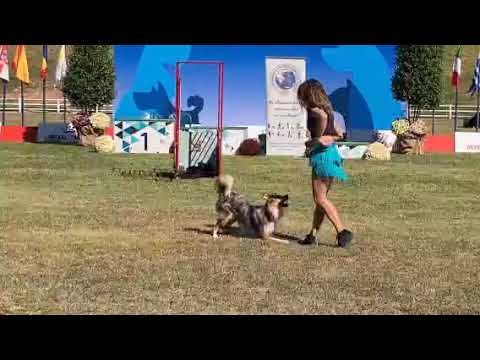 video of Dog Trainer Myrto Koutoulia 