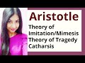 Aristotle's Theories on Tragedy and Art