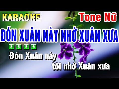 Karaoke Đón Xuân Này Nhớ Xuân Xưa Tone Nữ ( Beat 2025 ) Huỳnh Anh