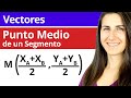 Punto Medio y Coordenadas