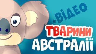 Тварини Австралії для дітей – Вчимо слова та назви тварин!