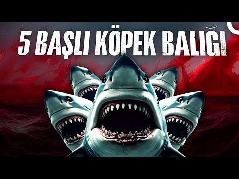 Beş Başlı Köpek Balığı 4K ULTRA HD | Türkçe Dublaj Korku Filmi İzle