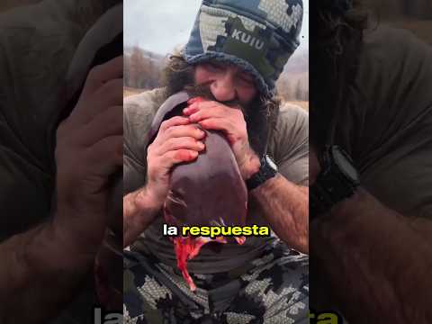 ¿Por qué Dios prohíbe comer carne con sangre? La respuesta es impactante y está en la Biblia