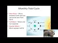 Moon Phases and Tidal Effects