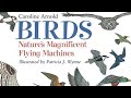 Birds: Nature's Magnificent Flying Machines