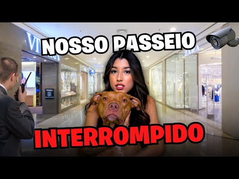 O Que Você Precisa Saber Antes De Ter Um Pitbull | Passeio No Shopping e Um Imprevisto Inesperado!