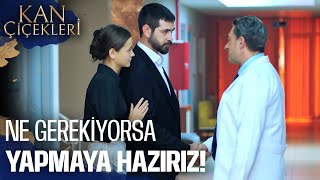 Çınar İyileşiyor | Kan Çiçekleri