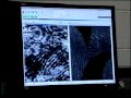 Latent Print Examination Concepts