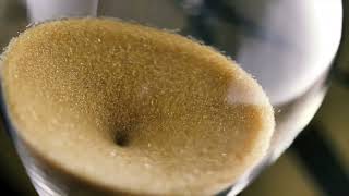 Todo Dia de Novo (Regina Mota)