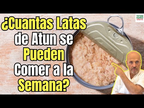 🐟 ¿CUANTAS LATAS DE ATUN SE PUEDEN CONSUMIR A LA SEMANA? 🐟