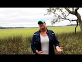 Understanding Wetlands