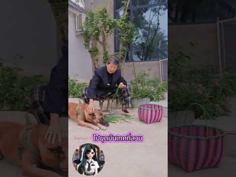 เมื่อเจ้านายต้องจากไปน้องหมาจะอยู่ยังไง