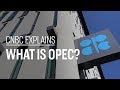 Understanding the Oil Market and OPEC