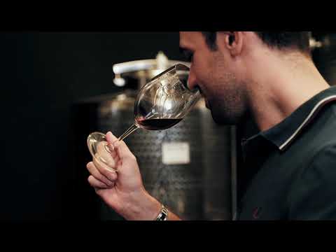 Marco Gallo Sommelier