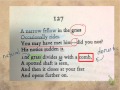 Symbolism and Themes in Dickinson's Poetry