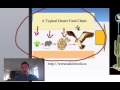 Ecosystem Roles and Food Chains