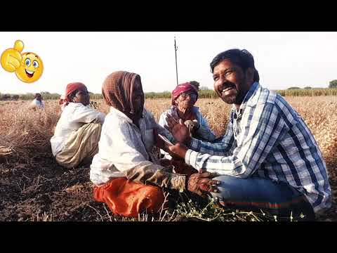 शेतात  आजी सोबत मजेदार गप्पा व्हिडिओ पूर्ण पहा 😆🤔