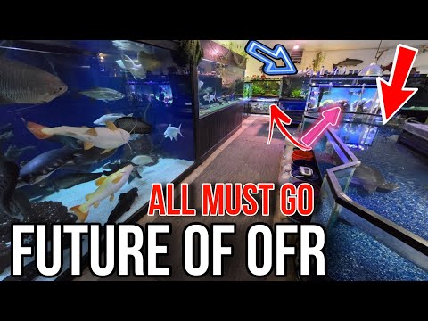 Insane Plans For the Future of OFR come to Life! A Truly MUST SEE Video