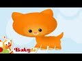 Cat Characteristics and Video Details