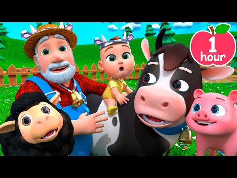 🚜🐑🐖🐓Old MacDonald Had a Farm | Newborn Baby Songs & Nursery Rhymes | abc kids zone