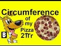 Finding the Circumference: From Pizza to Planet Earth
