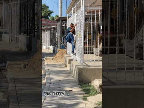 La iguana 🦎 Divertida #viral #tendencias #comedy #viralvideo  #viralreels  #reels